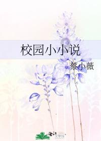 狗狗物品记忆卡